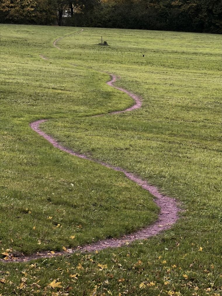 Ein schmaler Trail schlängelt sich in weiten Bögen über eine Wiese