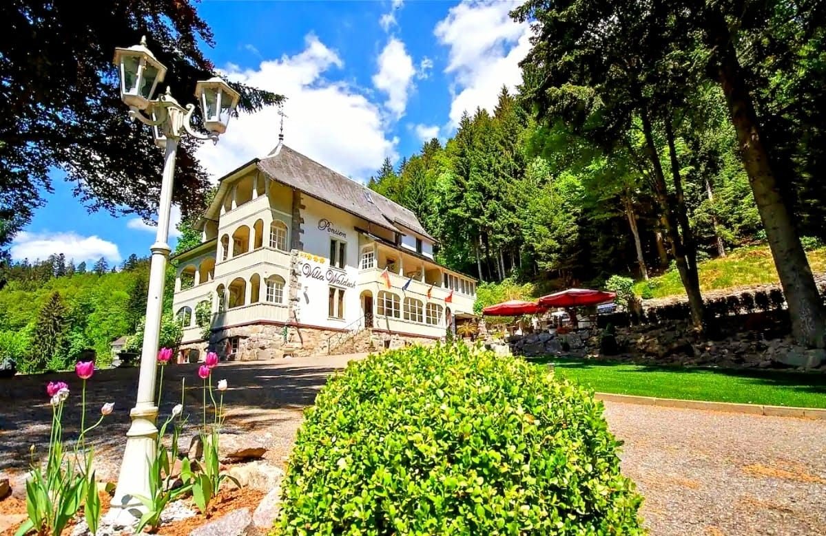 Die Pension Villa Waldeck in St. Blasien am Waldrand